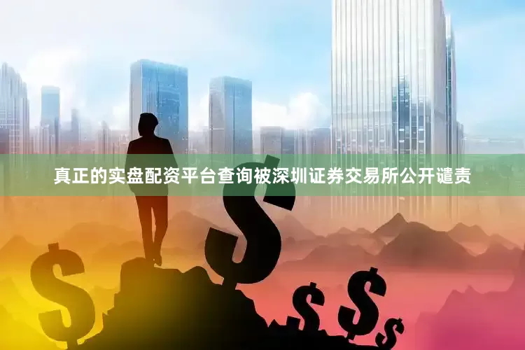 真正的实盘配资平台查询被深圳证券交易所公开谴责