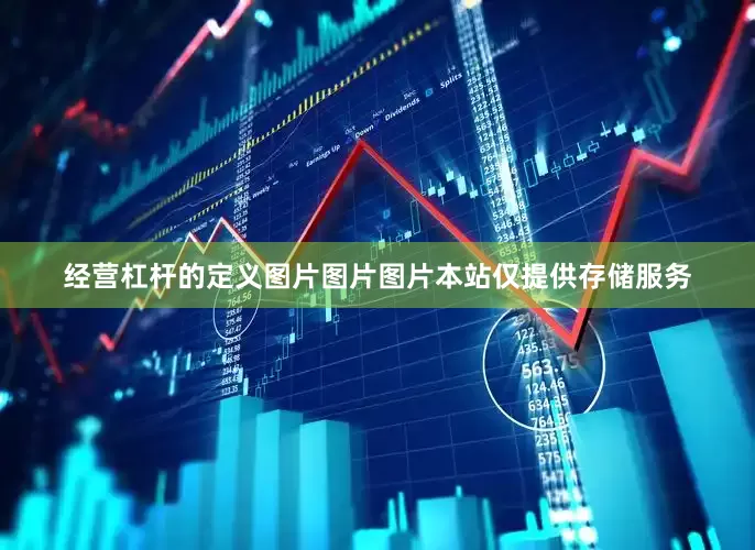 经营杠杆的定义图片图片图片本站仅提供存储服务