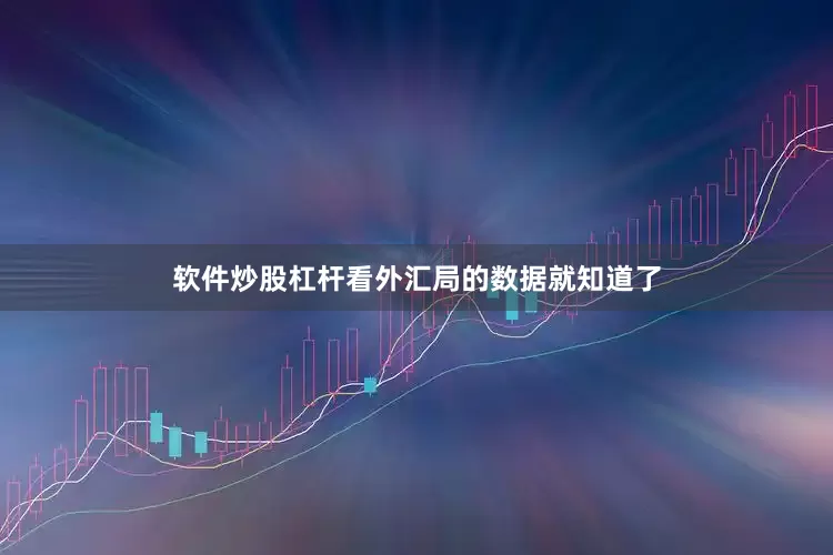 软件炒股杠杆看外汇局的数据就知道了